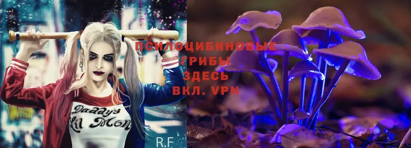 Галлюциногенные грибы Magic Shrooms  купить   Льгов 